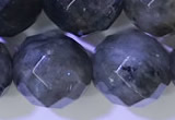 CLB1097 15.5 inches 10mm faceted round labradorite gemstone beads