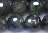 CLB1142 15 inches 10mm faceted round labradorite gemstone beads