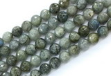 CLB1233 15.5 inches 10mm faceted round labradorite gemstone beads