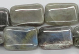 CLB124 15.5 inches 18*25mm rectangle labradorite gemstone beads wholesale