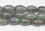 CLB150 15.5 inches 8*12mm rice labradorite gemstone beads