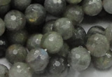 CLB23 15.5 inches 10mm faceted round labradorite gemstone beads