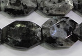 CLB325 15.5 inches 20*25mm octagonal black labradorite beads