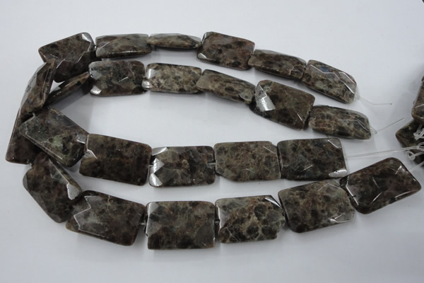 CLB426 15.5 inches 20*30mm faceted rectangle grey labradorite beads