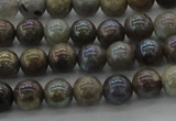 CLB602 15.5 inches 8mm round AB-color labradorite beads