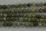 CLB609 15.5 inches 3mm faceted round AB-color labradorite beads