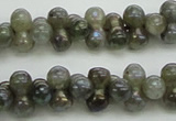 CLB630 15.5 inches 4*9mm bone AB-color labradorite beads