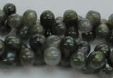 CLB631 15.5 inches 6*12mm bone AB-color labradorite beads