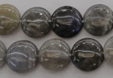 CLB737 15.5 inches 18mm flat round labradorite gemstone beads