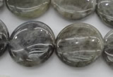 CLB738 15.5 inches 20mm flat round labradorite gemstone beads