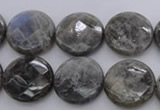 CLB744 15.5 inches 16mm faceted coin labradorite gemstone beads