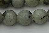 CLB855 15.5 inches 14mm round AB grade labradorite beads wholesale