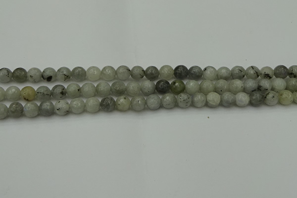 CLB860 15.5 inches 4mm faceted round AB grade labradorite beads