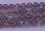 CLB911 15.5 inches 5mm round labradorite gemstone beads