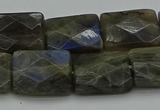 CLB963 15.5 inches 15*20mm faceted rectangle labradorite beads