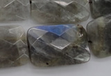 CLB97 15.5 inches 20*30mm faceted rectangle labradorite beads