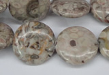 CMB11 15.5 inches 20mm flat round natural medical stone beads