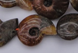 CMM01 15.5 inches 13*18mm - 30*35mm carved ammonite gemstone beads