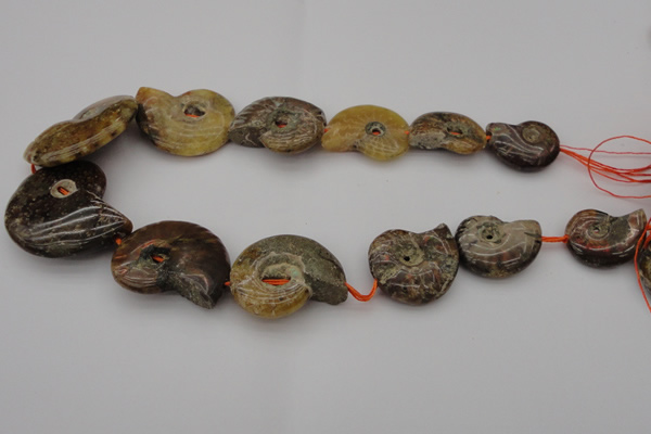 CMM02 15.5 inches 18*25mm - 35*45mm carved ammonite gemstone beads