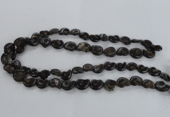 CMM50 15.5 inches 10*14mm - 12*16mm ammonite gemstone beads