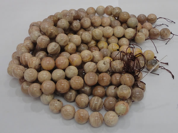 CMS04 15.5 inches 18mm round moonstone gemstone beads wholesale