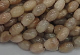 CMS06 15.5 inches 6*10mm rice moonstone gemstone beads wholesale