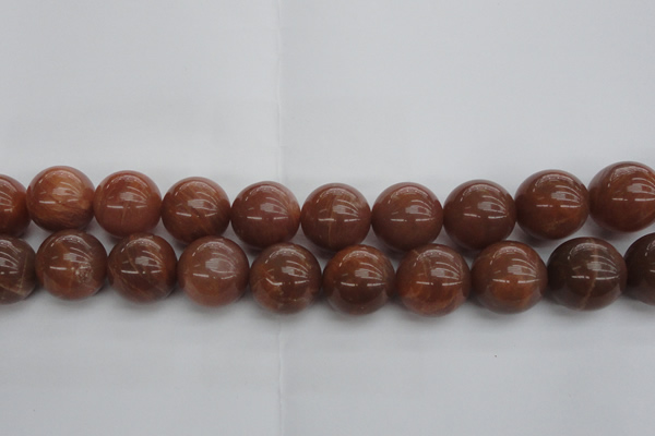 CMS1007 15.5 inches 18mm round AA grade moonstone gemstone beads