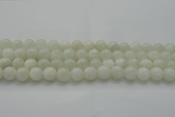 CMS1033 15.5 inches 10mm round A grade white moonstone beads