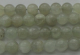 CMS1051 15.5 inches 6mm round grey moonstone beads wholesale