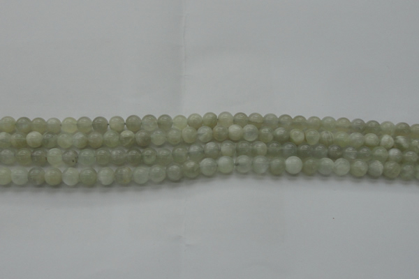 CMS1051 15.5 inches 6mm round grey moonstone beads wholesale