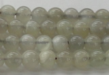 CMS1057 15.5 inches 6mm round grey moonstone beads wholesale