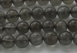 CMS1071 15.5 inches 6mm round grey moonstone beads wholesale