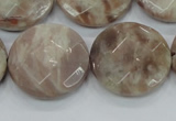 CMS114 15.5 inches 25mm faceted coin moonstone gemstone beads