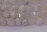 CMS1153 15.5 inches 6mm faceted nuggets white moonstone beads