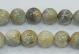 CMS122 15.5 inches 12mm round moonstone gemstone beads wholesale