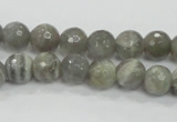 CMS124 15.5 inches 10mm faceted round moonstone gemstone beads