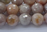 CMS1303 15.5 inches 10mm faceted round AB-color moonstone beads