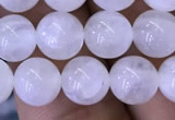 CMS1402 15.5 inches 8mm round white moonstone beads wholesale