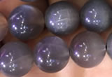 CMS1422 15.5 inches 8mm round black moonstone beads wholesale