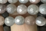 CMS1456 15.5 inches 6mm faceted round AB-color moonstone beads