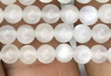 CMS1460 15.5 inches 4mm round white moonstone beads wholesale