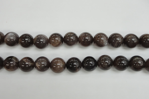 CMS147 15.5 inches 14mm round natural grey moonstone beads