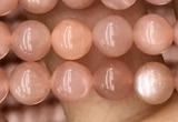 CMS1475 15.5 inches 6mm round moonstone beads wholesale