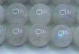 CMS1491 15.5 inches 8mm round white moonstone beads wholesale