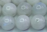 CMS1492 15.5 inches 10mm round white moonstone beads wholesale