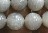 CMS1653 15.5 inches 10mm round grey moonstone beads wholesale