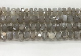 CMS1660 15.5 inches 6*10mm - 8*11mm faceted tyre moonstone beads