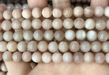 CMS1672 15.5 inches 8mm round moonstone beads wholesale