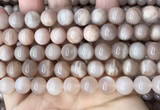 CMS1673 15.5 inches 10mm round moonstone beads wholesale