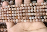 CMS1677 15.5 inches 4mm faceted round moonstone beads wholesale